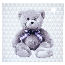 Protège carnet de santé my Little Bear