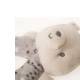 Doudou hochet nino stories