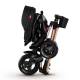 Tricycle 5 en 1 Qplay Nova Air Gold Limited edition