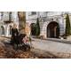 Poussette trio Arizo rose