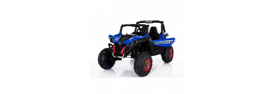 4X4, buggy